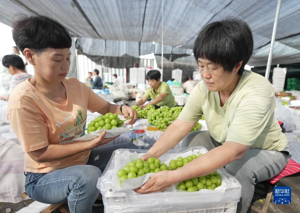 支付宝充值提现的打鱼